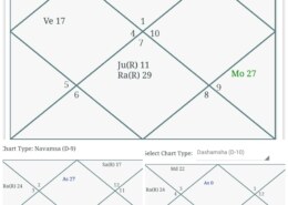 What can be best career for this chart ? IAS?