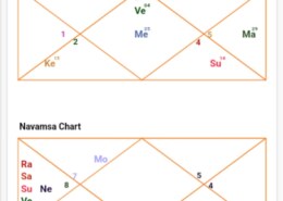 Please tell me about success in job and marrige timings and life in general