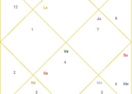 What are the predictions for my love life and marriage?