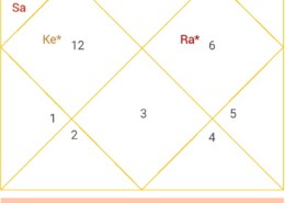 birth time rectification and profession