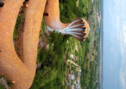 Dream of snake