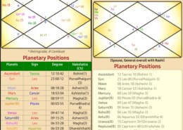 Profession Area/timing and Marriage quality/timing.