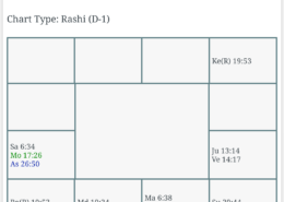 Please analyse this birth chart as per BNN