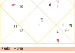 career and gemstone