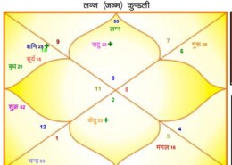 Carrer Guidance
