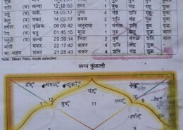 kya mere kundli me ak successful astrologer banane ke yog hai? our kya muze bhagyesh ka ratan dharan karna thik rahega.