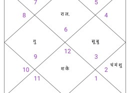 Going through rahu mahadasha