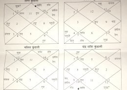 marriage timing prediction and which profession is best for me