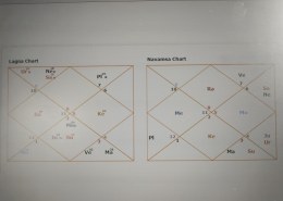 problems in marriage life and not getting fame or success