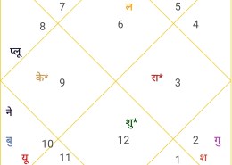 Rahu in 10th house, confused about profession which profession should I choose?? Can anyone help me with this