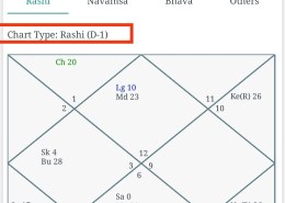 Can Anyone Suggest Accurate Carrier option Job/Business