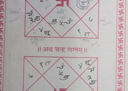 do I have govt job