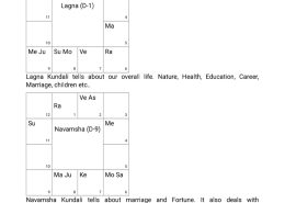 can get gvt. job ? what is my spouse’s nature & appearance