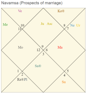 D9 Chart (Navamsa)