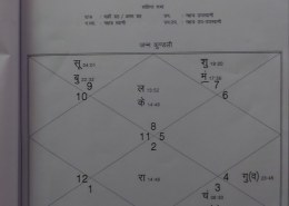 Career and marriage related